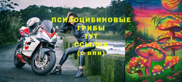 Альфа ПВП Корсаков
