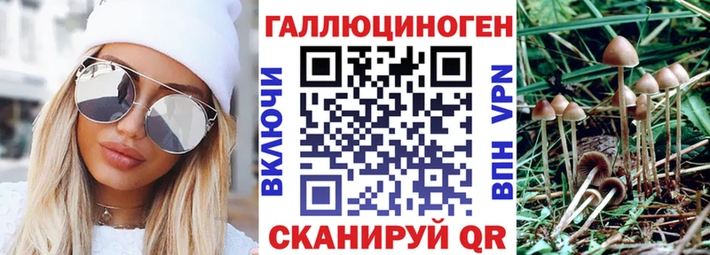 Купить где  Лермонтов  Галлюциногенные грибы Psilocybine cubensis 